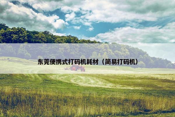 东莞便携式打码机耗材（简易打码机）