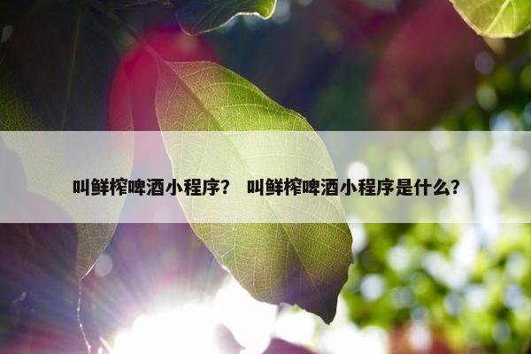 叫鲜榨啤酒小程序？ 叫鲜榨啤酒小程序是什么？