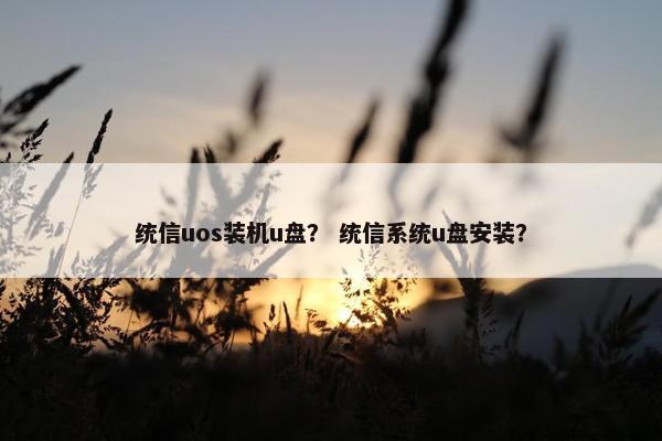 统信uos装机u盘？ 统信系统u盘安装？