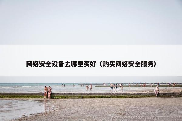 网络安全设备去哪里买好（购买网络安全服务）