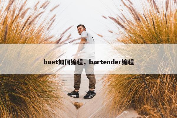 baet如何编程，bartender编程
