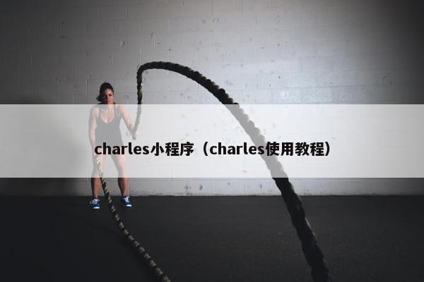 charles小程序（charles使用教程）