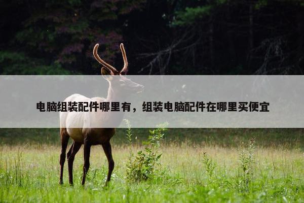 电脑组装配件哪里有，组装电脑配件在哪里买便宜