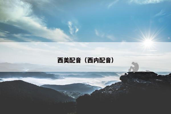 西美配音（西内配音）