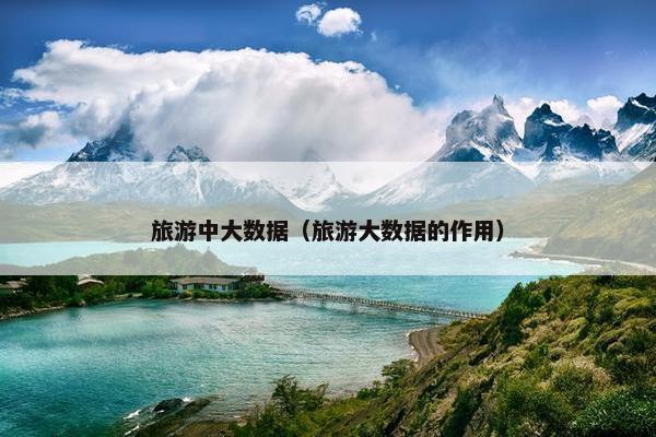 旅游中大数据（旅游大数据的作用）