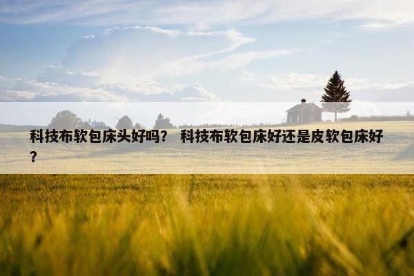 科技布软包床头好吗？ 科技布软包床好还是皮软包床好？