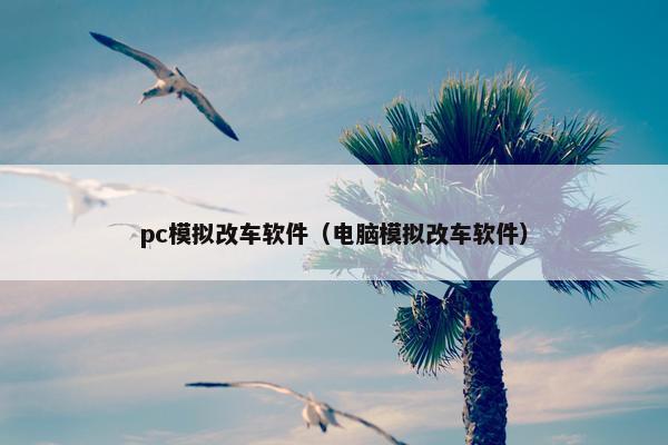 pc模拟改车软件（电脑模拟改车软件）