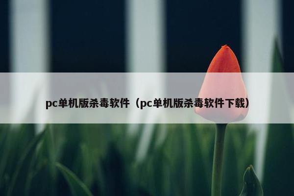 pc单机版杀毒软件（pc单机版杀毒软件下载）