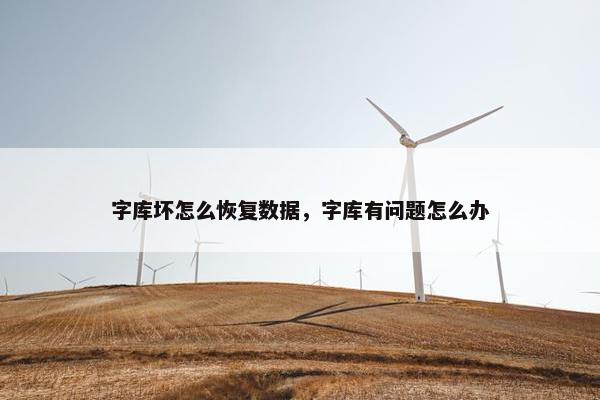 字库坏怎么恢复数据，字库有问题怎么办