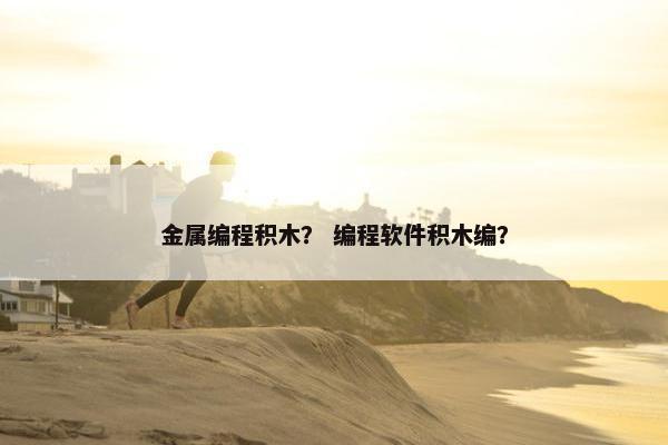 金属编程积木？ 编程软件积木编？