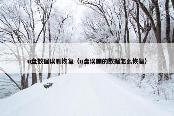 u盘数据误删恢复（u盘误删的数据怎么恢复）