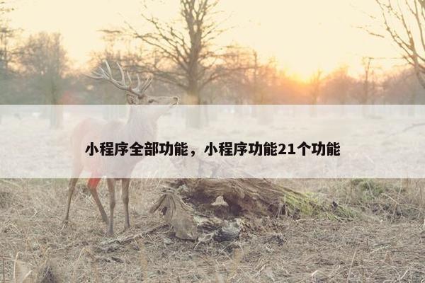 小程序全部功能，小程序功能21个功能