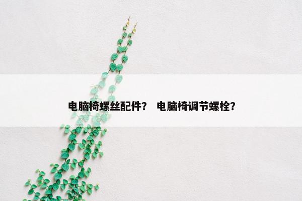 电脑椅螺丝配件？ 电脑椅调节螺栓？