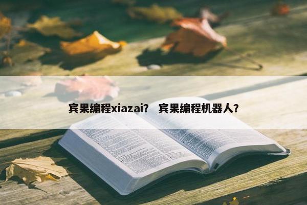 宾果编程xiazai？ 宾果编程机器人？