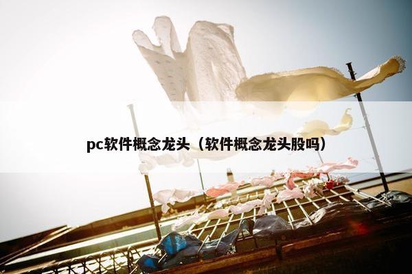pc软件概念龙头（软件概念龙头股吗）