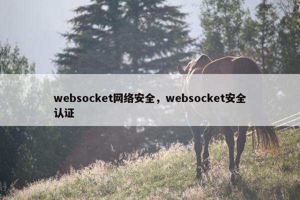 websocket网络安全,websocket安全认证 websocket网络安全,websocket安全认证