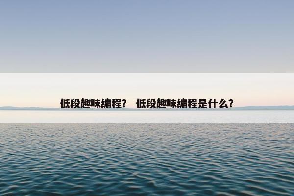 低段趣味编程？ 低段趣味编程是什么？