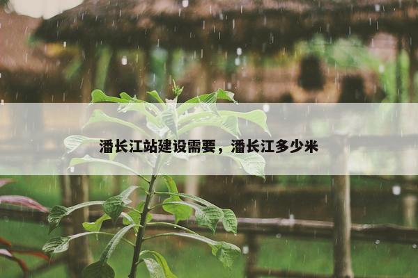 潘长江站建设需要，潘长江多少米