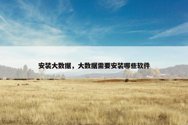 安装大数据,大数据需要安装哪些软件 安装大数据,大数据需要安装哪些软件