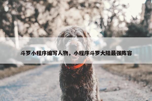 斗罗小程序编写人物，小程序斗罗大陆最强阵容