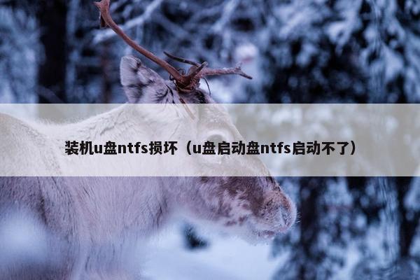 装机u盘ntfs损坏（u盘启动盘ntfs启动不了）