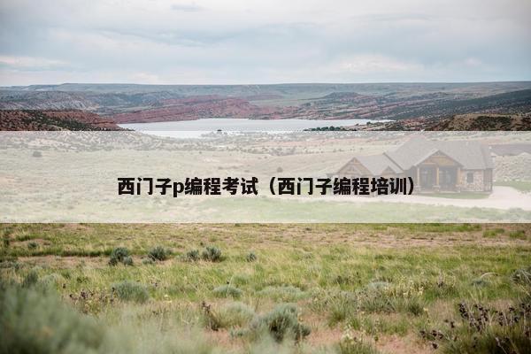 西门子p编程考试（西门子编程培训）