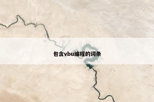 包含vbu编程的词条