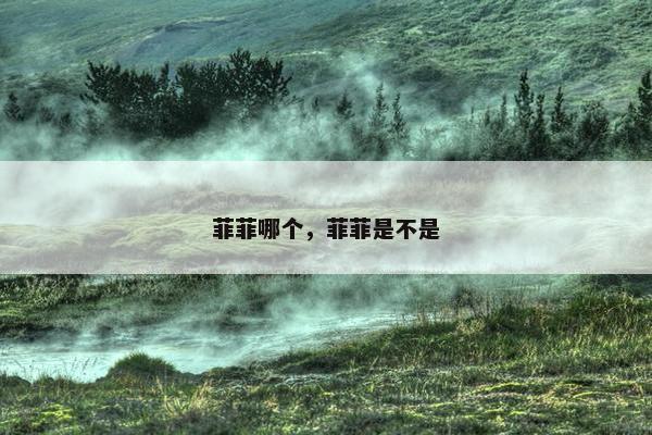 菲菲哪个，菲菲是不是