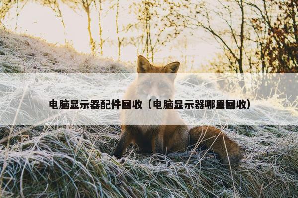 电脑显示器配件回收（电脑显示器哪里回收）