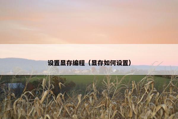 设置显存编程（显存如何设置）