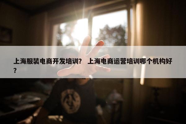 上海服装电商开发培训？ 上海电商运营培训哪个机构好？