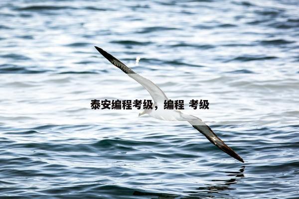 泰安编程考级,编程 考级 泰安编程考级,编程 考级