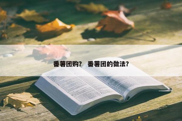 番薯团购？ 番薯团的做法？