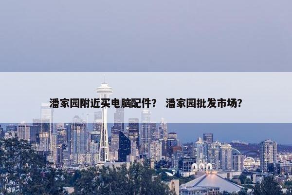 潘家园附近买电脑配件？ 潘家园批发市场？