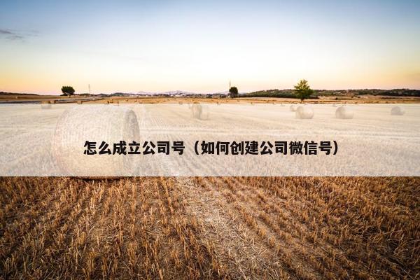 怎么成立公司号（如何创建公司微信号）