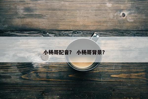 小杨哥配音？ 小杨哥背景？