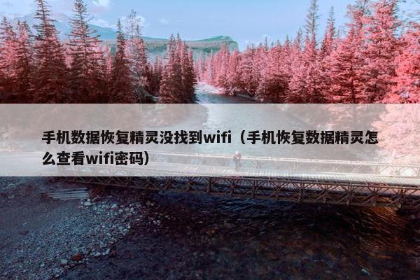 手机数据恢复精灵没找到wifi（手机恢复数据精灵怎么查看wifi密码）