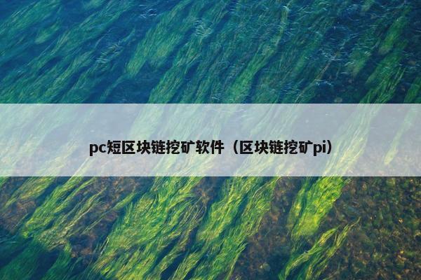 pc短区块链挖矿软件（区块链挖矿pi）