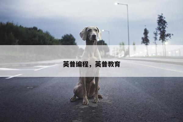 英普编程，英普教育