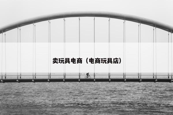 卖玩具电商（电商玩具店）