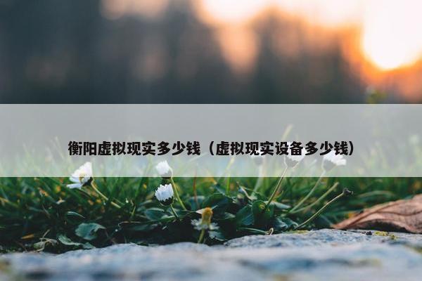 衡阳虚拟现实多少钱（虚拟现实设备多少钱）