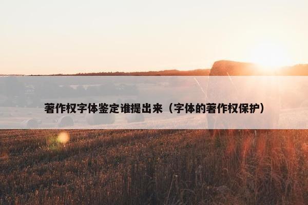 著作权字体鉴定谁提出来（字体的著作权保护）