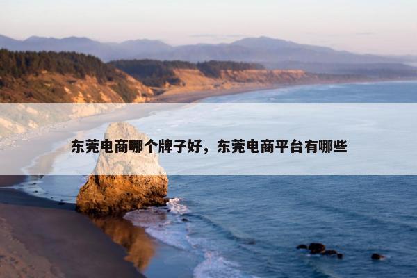 东莞电商哪个牌子好,东莞电商平台有哪些 东莞电商哪个牌子好,东莞电商平台有哪些