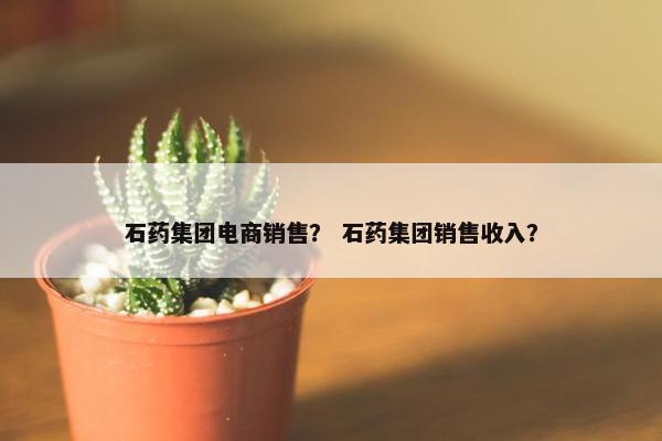 石药集团电商销售？ 石药集团销售收入？