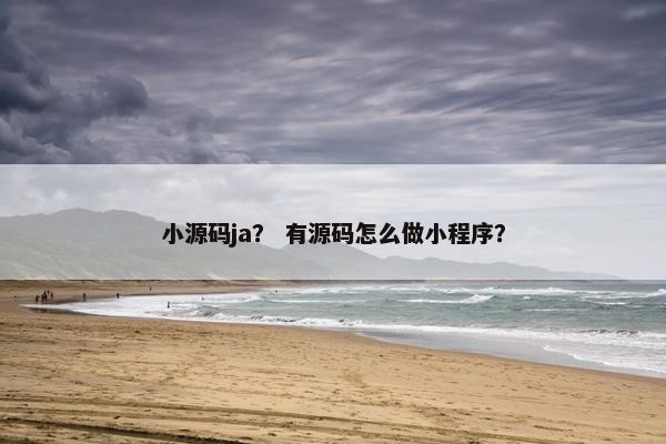 小源码ja？ 有源码怎么做小程序？