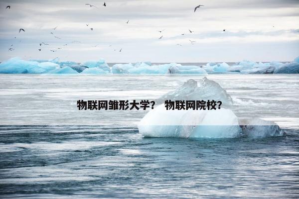 物联网雏形大学？ 物联网院校？