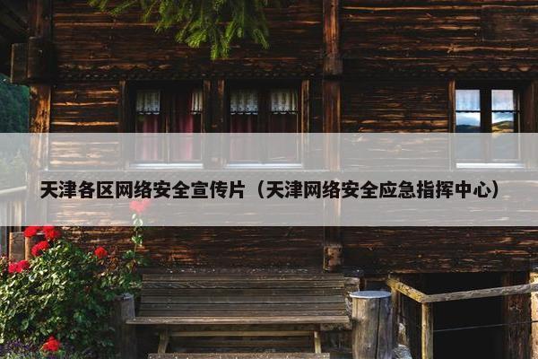 天津各区网络安全宣传片（天津网络安全应急指挥中心）