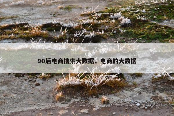 90后电商搜索大数据，电商的大数据