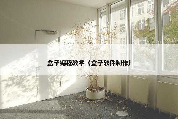 盒子编程教学（盒子软件制作）