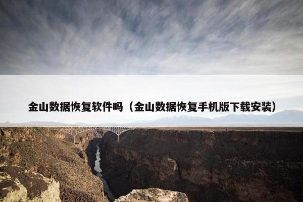 金山数据恢复软件吗（金山数据恢复手机版下载安装）